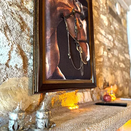 Hotel Marissa Boutique