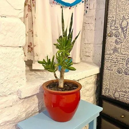 Готель Marissa Boutique